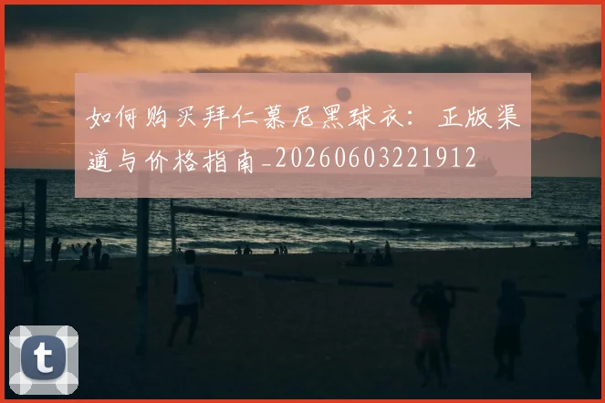 如何购买拜仁慕尼黑球衣：正版渠道与价格指南_20260603221912