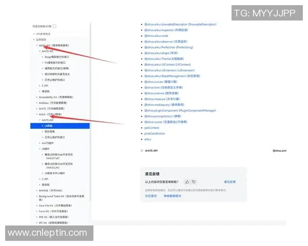 LeonEsports战术配置解析与实战应用探讨